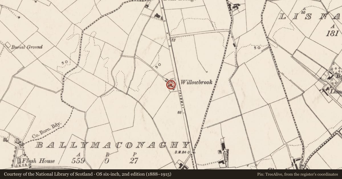 Ordnance Survey six-inch map, 2nd edition (1888–1915) covering the location of Cregagh Clinic, Belfast, with a pin at the register's coordinates