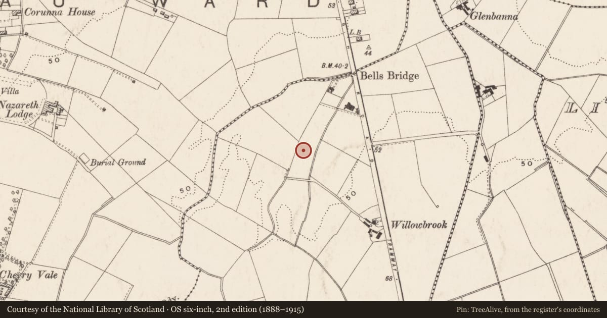Ordnance Survey six-inch map, 2nd edition (1888–1915) covering the location of Cregagh Housing Estate, Belfast, with a pin at the register's coordinates