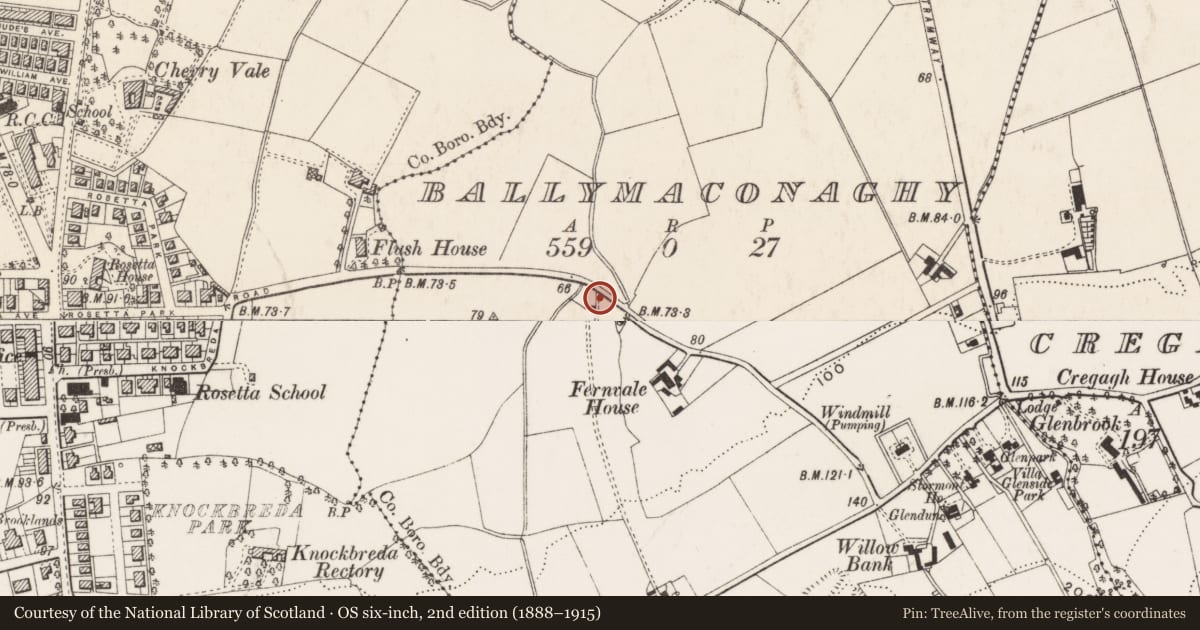 Ordnance Survey six-inch map, 2nd edition (1888–1915) covering the location of Post Box, Ballymaconaghy, Belfast, with a pin at the register's coordinates