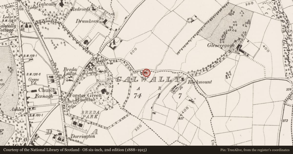 Ordnance Survey six-inch map, 2nd edition (1888–1915) covering the location of Adara, Lisburn and Castlereagh, with a pin at the register's coordinates