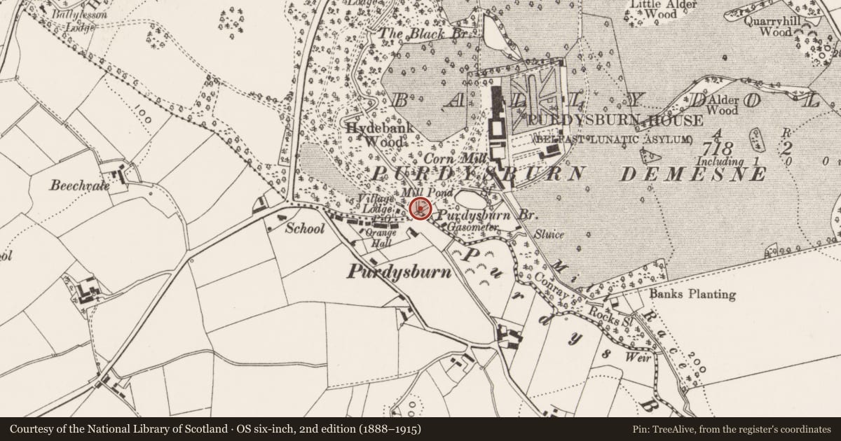 Ordnance Survey six-inch map, 2nd edition (1888–1915) covering the location of Purdysburn Bridge, Lisburn and Castlereagh, with a pin at the register's coordinates