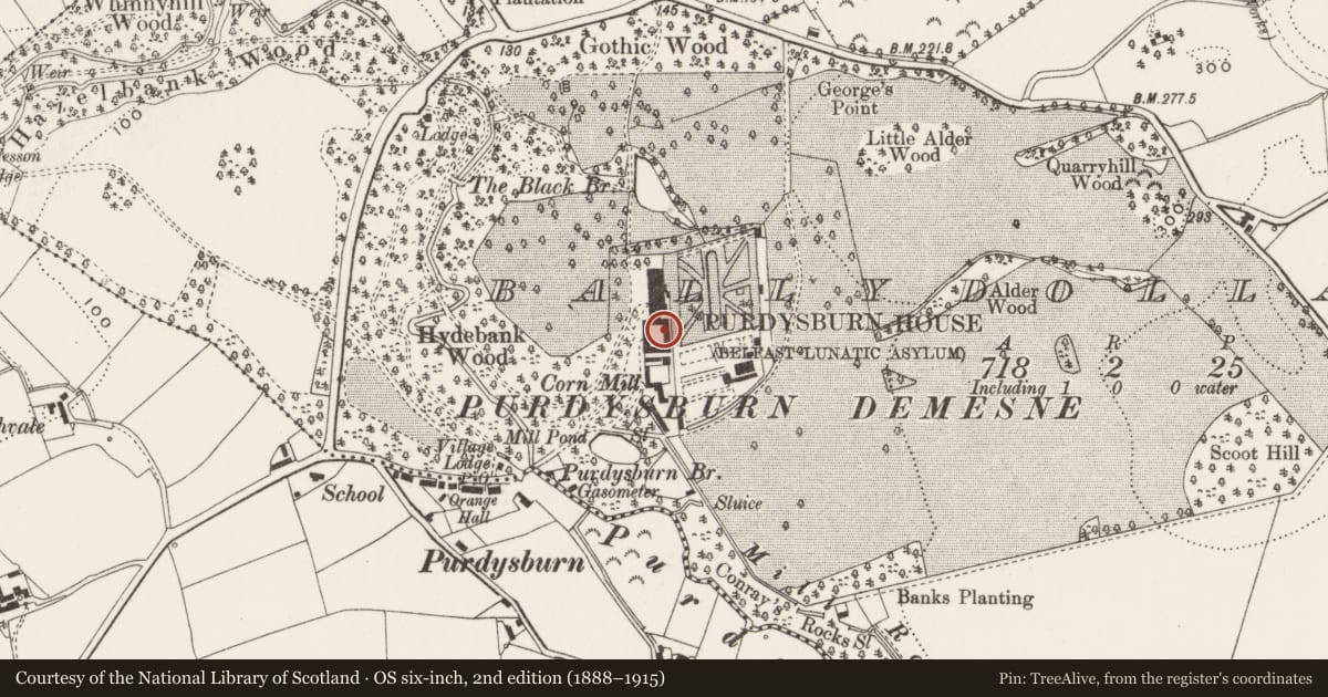 Ordnance Survey six-inch map, 2nd edition (1888–1915) covering the location of Shannon House and Stable Block, Lisburn and Castlereagh, with a pin at the register's coordinates