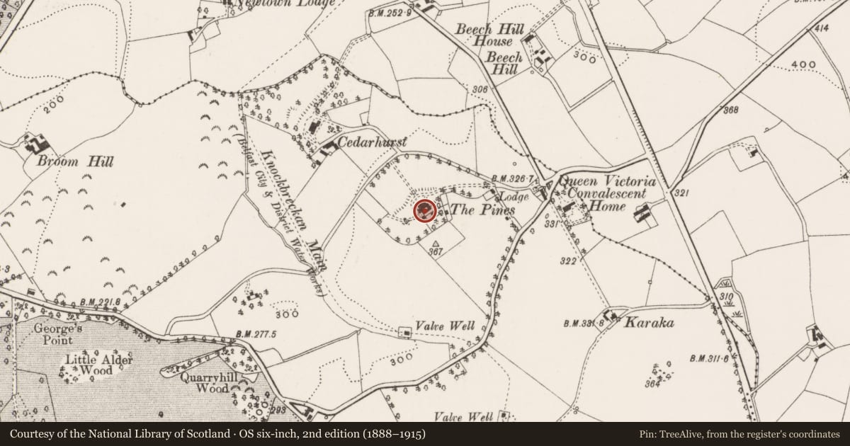 Ordnance Survey six-inch map, 2nd edition (1888–1915) covering the location of The Pines, Lisburn and Castlereagh, with a pin at the register's coordinates