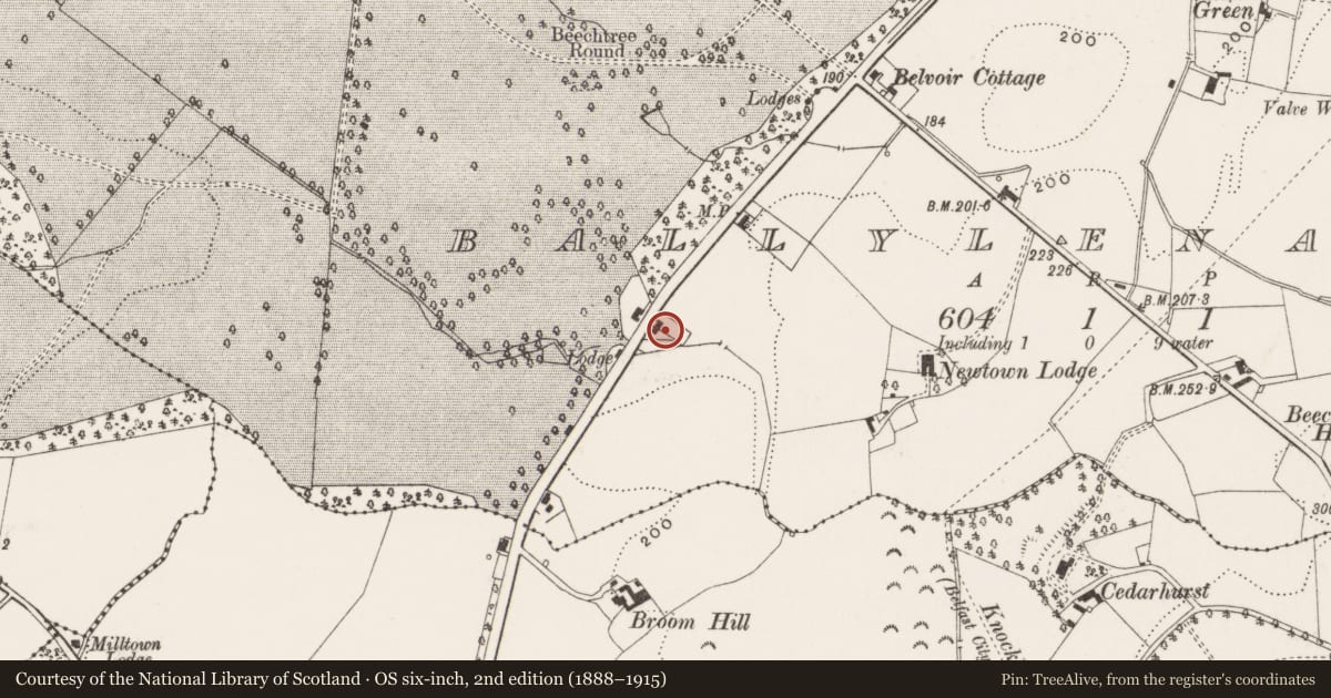 Ordnance Survey six-inch map, 2nd edition (1888–1915) covering the location of Demolished Park Cottage and Lenaghford, Lisburn and Castlereagh, with a pin at the register's coordinates
