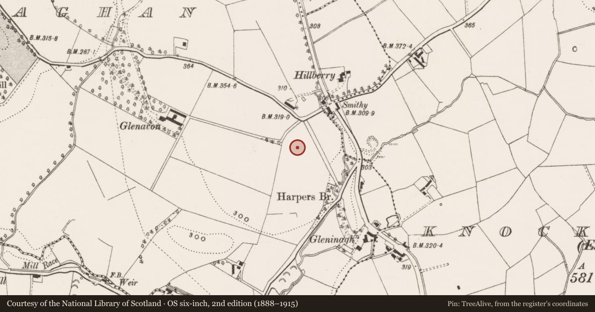 Ordnance Survey six-inch map, 2nd edition (1888–1915) covering the location of Administration Building, Ballydollaghan, Lisburn and Castlereagh, with a pin at the register's coordinates