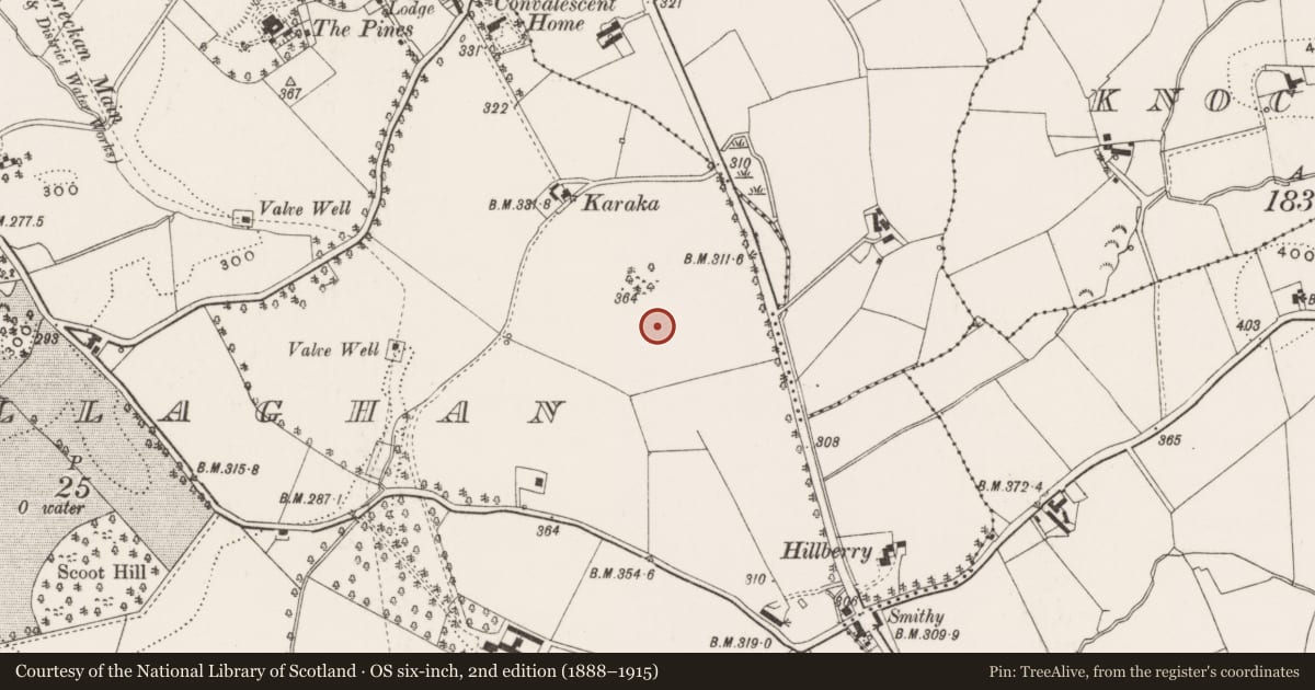Ordnance Survey six-inch map, 2nd edition (1888–1915) covering the location of Graham House, Ballydollaghan, Lisburn and Castlereagh, with a pin at the register's coordinates