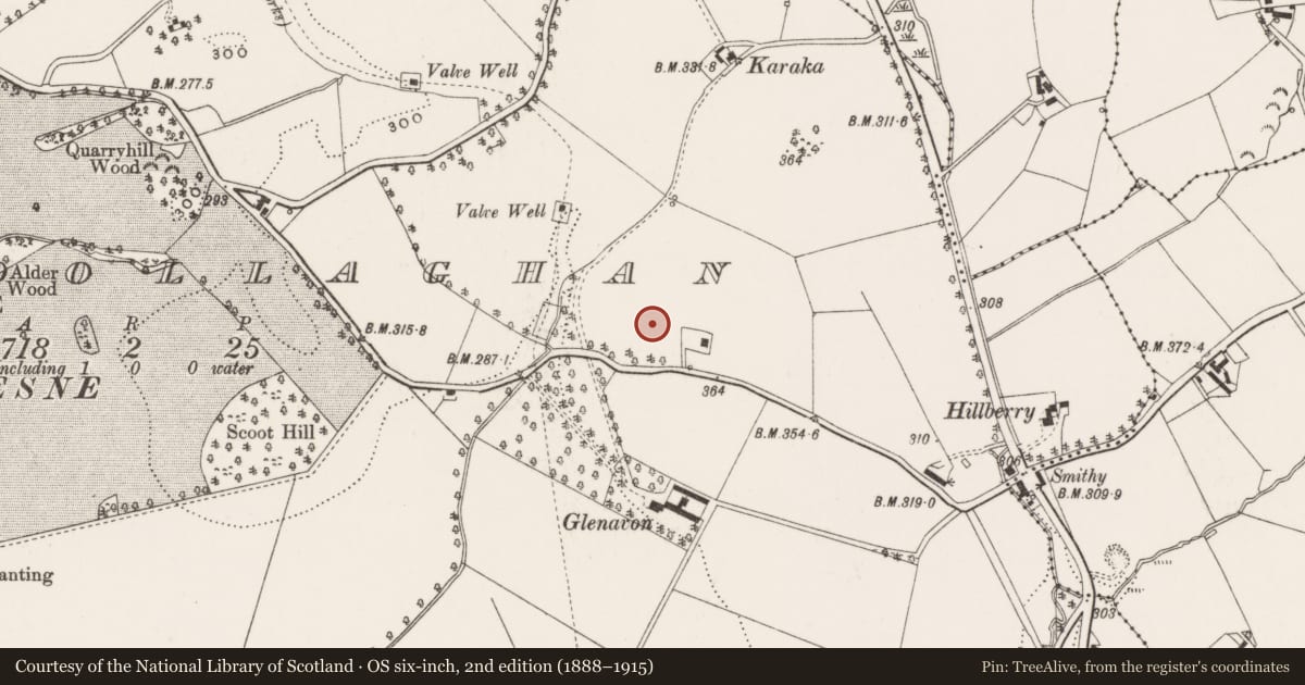 Ordnance Survey six-inch map, 2nd edition (1888–1915) covering the location of Piney Ridge, Ballydollaghan, Lisburn and Castlereagh, with a pin at the register's coordinates