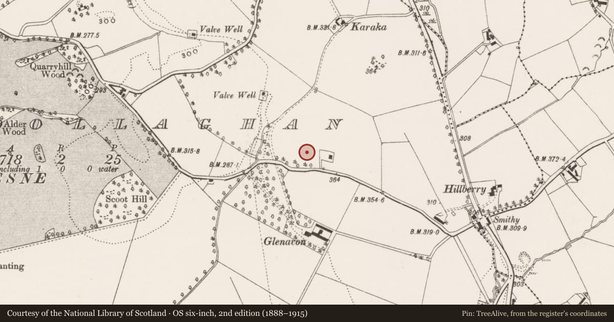Ordnance Survey six-inch map, 2nd edition (1888–1915) covering the location of Piney Ridge, Ballydollaghan, Lisburn and Castlereagh, with a pin at the register's coordinates