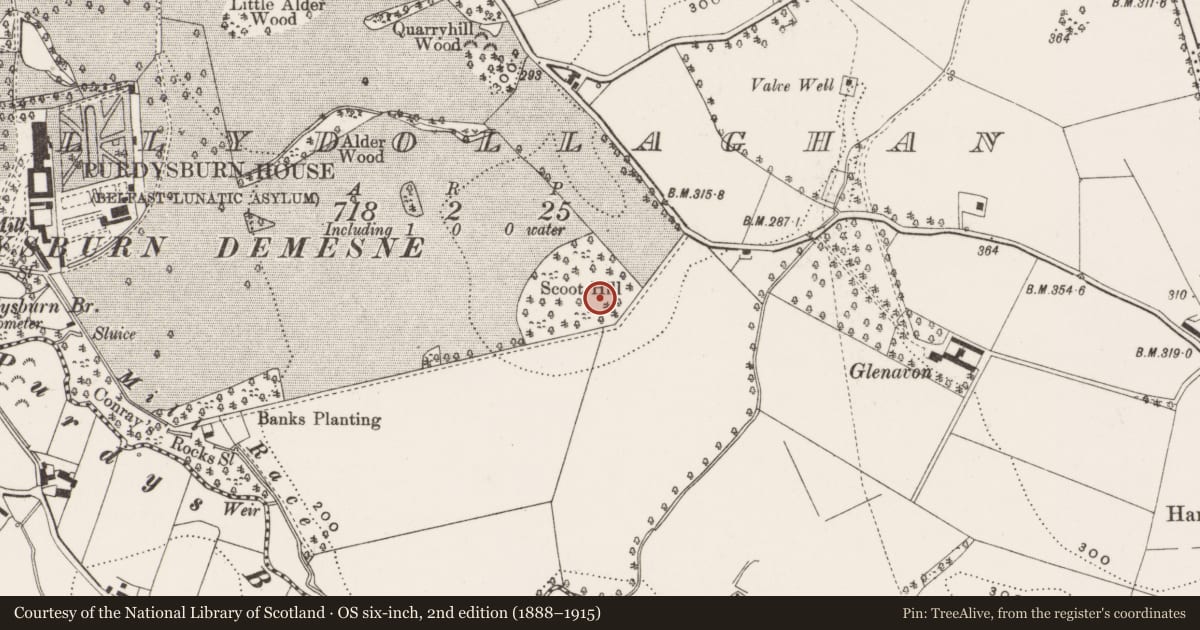 Ordnance Survey six-inch map, 2nd edition (1888–1915) covering the location of Former St Columba's Roman Catholic Church, Ballydollaghan, Lisburn and Castlereagh, with a pin at the register's coordinates