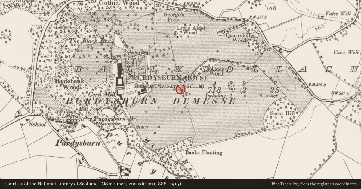 Ordnance Survey six-inch map, 2nd edition (1888–1915) covering the location of Stone Tower, Ballydollaghan, with a pin at the register's coordinates