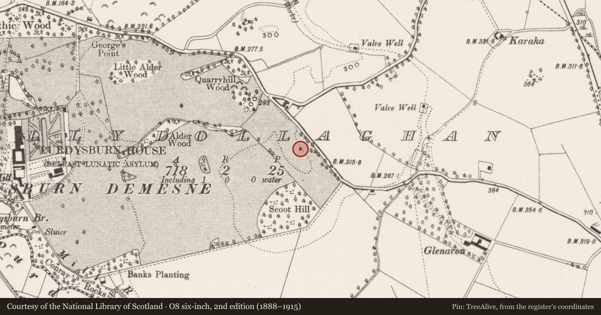 Ordnance Survey six-inch map, 2nd edition (1888–1915) covering the location of Creamery building (off Alderwood Hill), Knockbracken Healthcare Park, Saintfield Road, Belfast BT8 8BH, Ballydollaghan, Lisburn and Castlereagh, with a pin at the register's coordinates