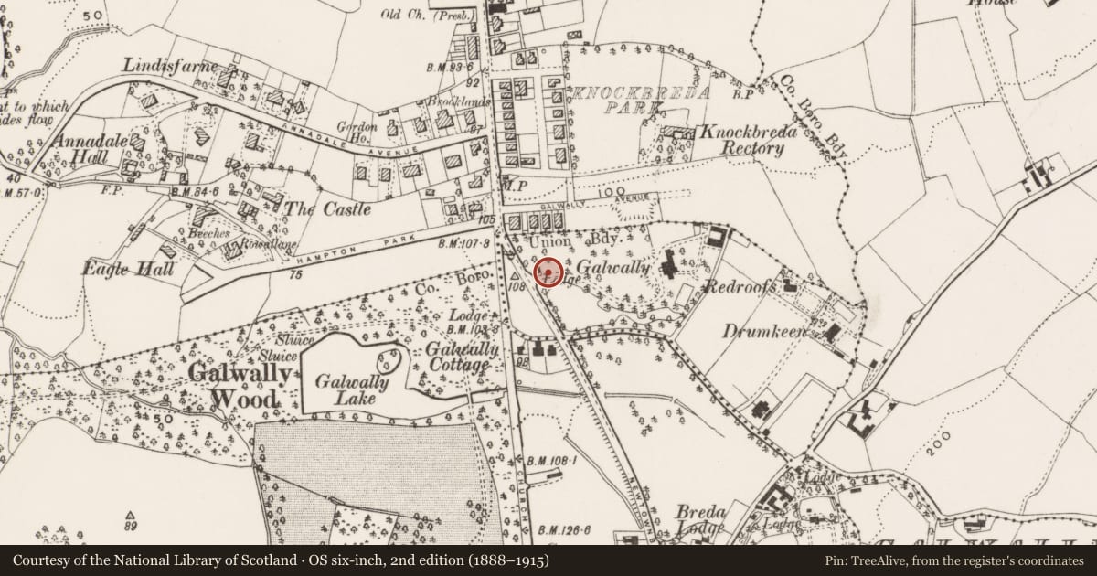 Ordnance Survey six-inch map, 2nd edition (1888–1915) covering the location of Gate Lodge, 4 Saintfield Road, Belfast, Co Antrim BT8 6AA, Galwally, Belfast, with a pin at the register's coordinates