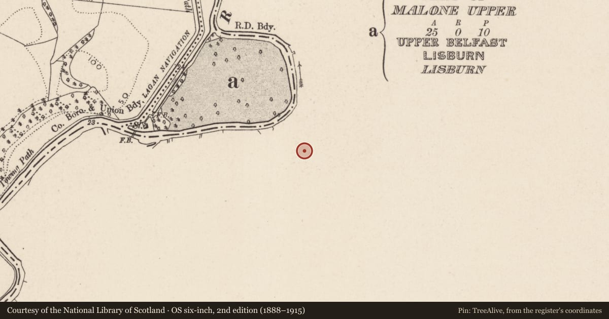 Ordnance Survey six-inch map, 2nd edition (1888–1915) covering the location of RSPB Northern Ireland Headquarters, Belfast, with a pin at the register's coordinates