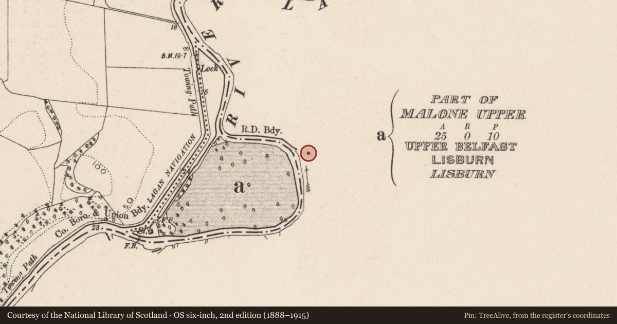 Ordnance Survey six-inch map, 2nd edition (1888–1915) covering the location of Ice House, Belfast, with a pin at the register's coordinates