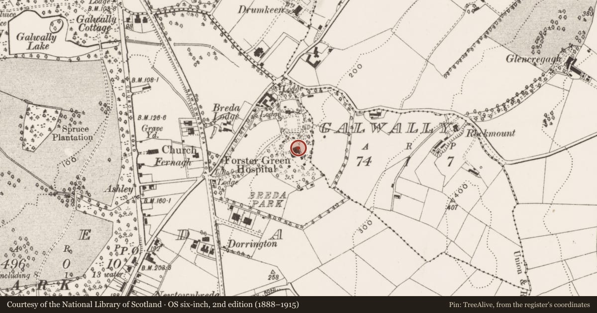 Ordnance Survey six-inch map, 2nd edition (1888–1915) covering the location of Administration Block, Lisburn and Castlereagh, with a pin at the register's coordinates