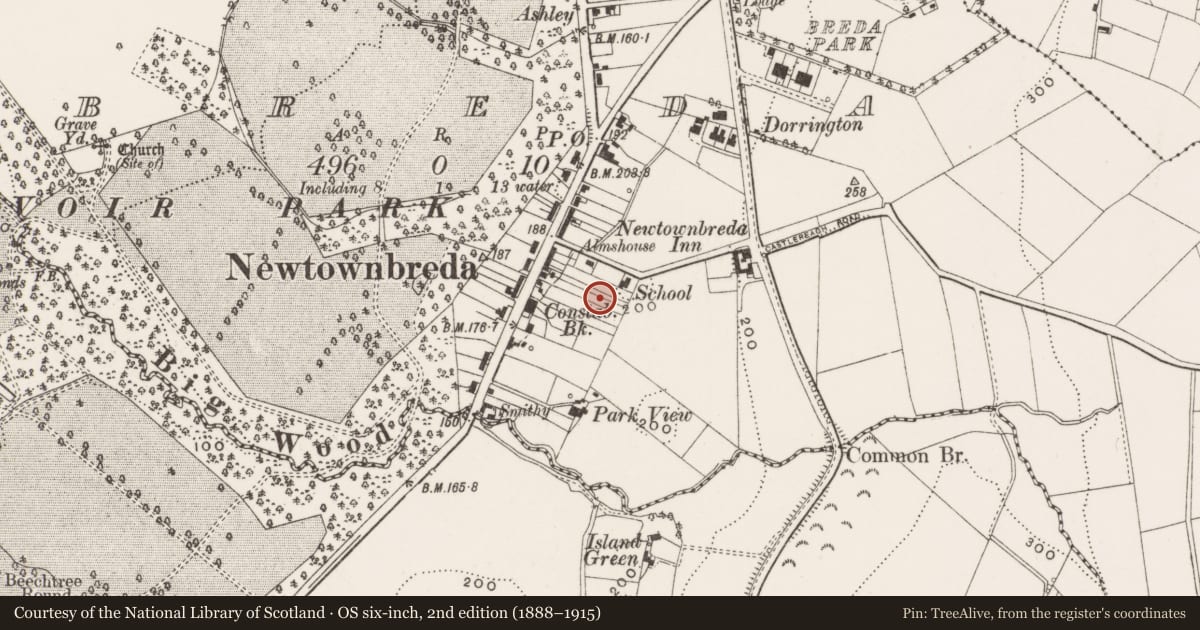 Ordnance Survey six-inch map, 2nd edition (1888–1915) covering the location of Newtownbreda Primary School, Lisburn and Castlereagh, with a pin at the register's coordinates