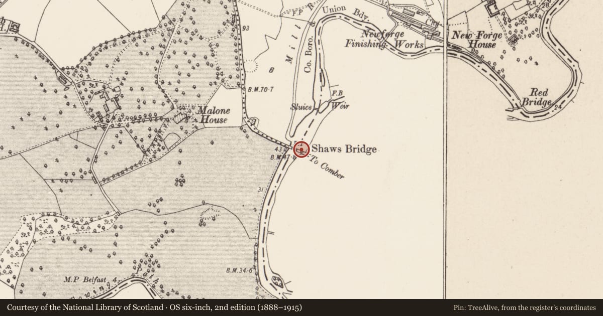 Ordnance Survey six-inch map, 2nd edition (1888–1915) covering the location of Shaw's Bridge, Ballynavally Malone Upper, Belfast, with a pin at the register's coordinates