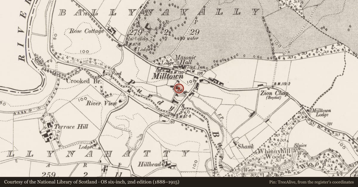Ordnance Survey six-inch map, 2nd edition (1888–1915) covering the location of Milltown House, Belfast, with a pin at the register's coordinates