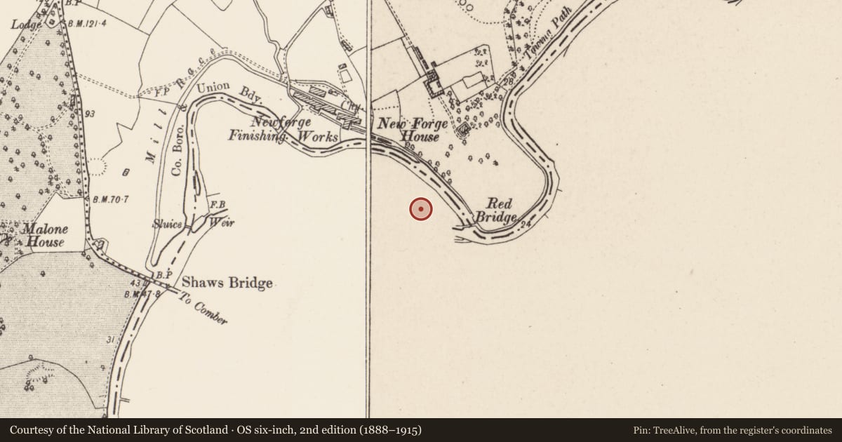 Ordnance Survey six-inch map, 2nd edition (1888–1915) covering the location of Lock-keeper's House, Belfast, with a pin at the register's coordinates