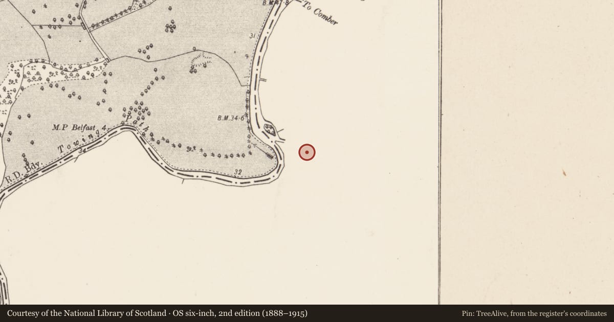 Ordnance Survey six-inch map, 2nd edition (1888–1915) covering the location of Minnowburn Bridge, Belfast, with a pin at the register's coordinates