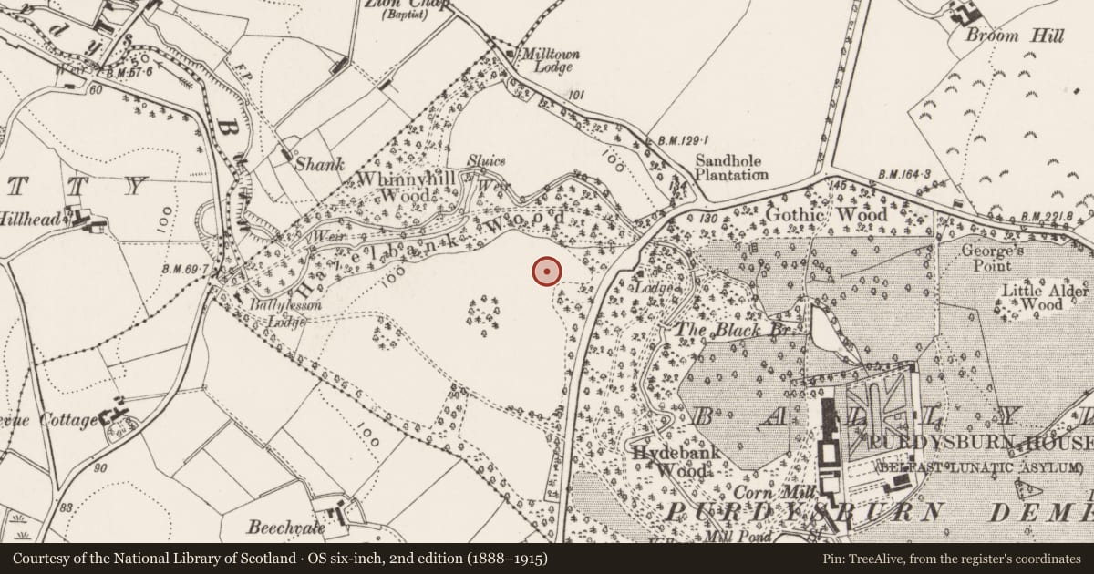 Ordnance Survey six-inch map, 2nd edition (1888–1915) covering the location of Belvoir Park Hospital, Ballydollaghan, Belfast, with a pin at the register's coordinates