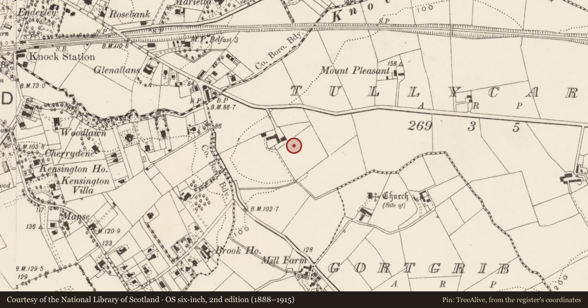 Ordnance Survey six-inch map, 2nd edition (1888–1915) covering the location of 10 Kingsway Drive, Belfast, with a pin at the register's coordinates
