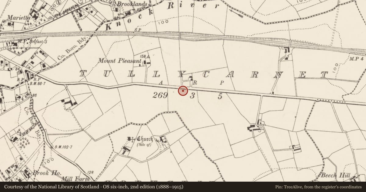 Ordnance Survey six-inch map, 2nd edition (1888–1915) covering the location of 235 Kings Road, Belfast, with a pin at the register's coordinates
