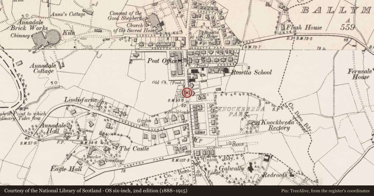 Ordnance Survey six-inch map, 2nd edition (1888–1915) covering the location of 589 Ormeau Road, Belfast, with a pin at the register's coordinates