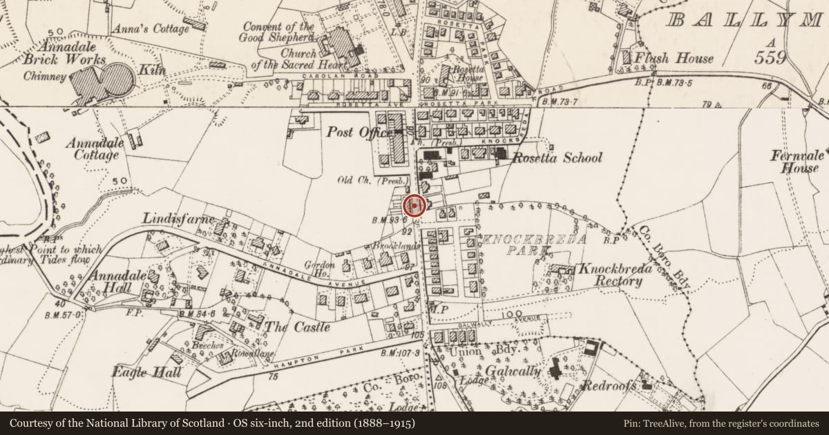 Ordnance Survey six-inch map, 2nd edition (1888–1915) covering the location of 591 Ormeau Road, Ballynafoy, Belfast, with a pin at the register's coordinates
