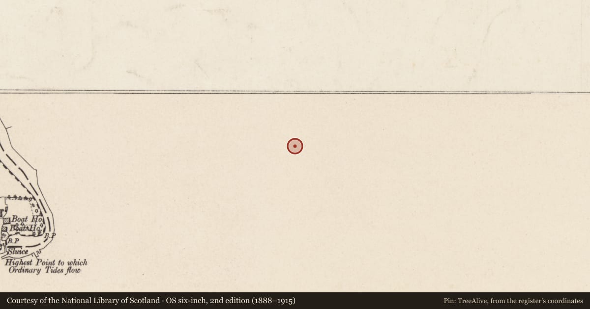 Ordnance Survey six-inch map, 2nd edition (1888–1915) covering the location of 1 Rosetta Avenue, Belfast, with a pin at the register's coordinates