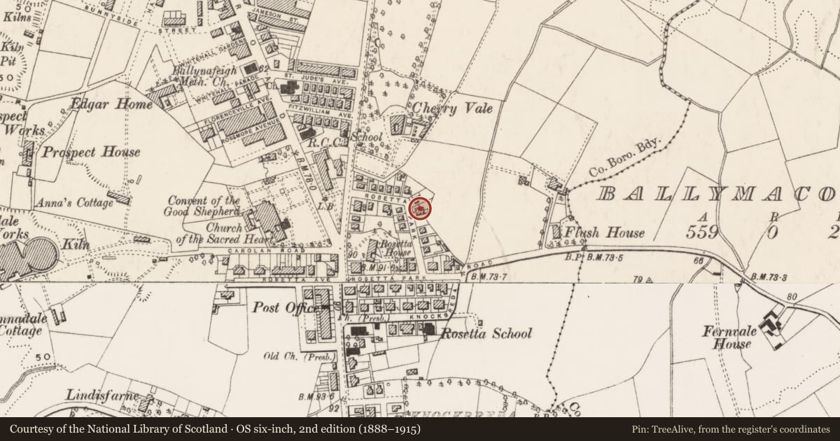 Ordnance Survey six-inch map, 2nd edition (1888–1915) covering the location of 14 Rosetta Park, Belfast, with a pin at the register's coordinates