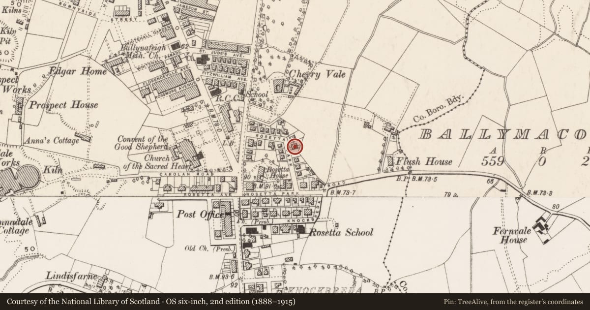 Ordnance Survey six-inch map, 2nd edition (1888–1915) covering the location of 16 Rosetta Park, Belfast, with a pin at the register's coordinates