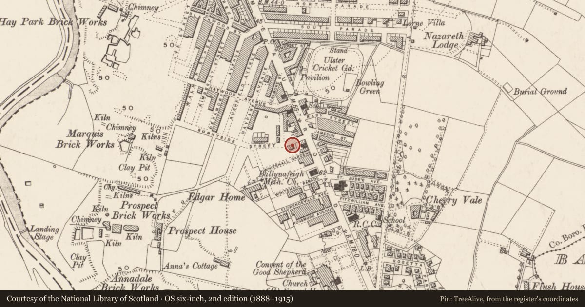 Ordnance Survey six-inch map, 2nd edition (1888–1915) covering the location of 14 Sunnyside St., Belfast, with a pin at the register's coordinates
