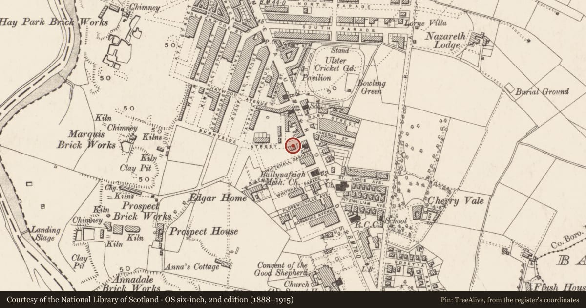 Ordnance Survey six-inch map, 2nd edition (1888–1915) covering the location of 16 Sunnyside St., Belfast, with a pin at the register's coordinates