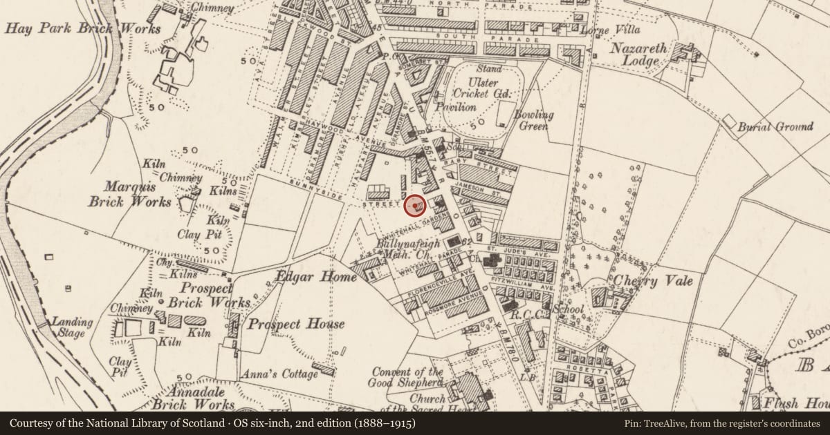 Ordnance Survey six-inch map, 2nd edition (1888–1915) covering the location of 24 Sunnyside St., Belfast, with a pin at the register's coordinates