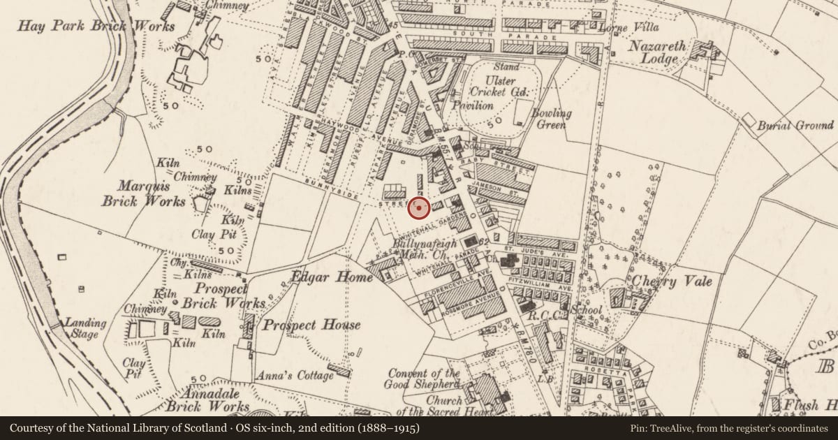 Ordnance Survey six-inch map, 2nd edition (1888–1915) covering the location of 36 Sunnyside St., Belfast, with a pin at the register's coordinates