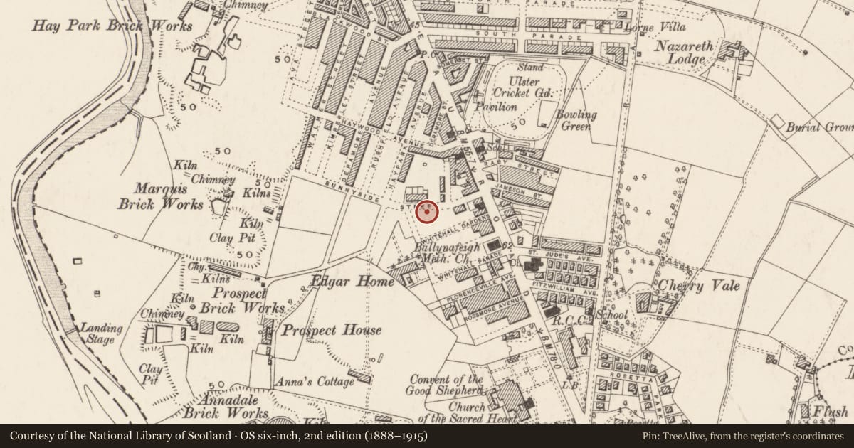 Ordnance Survey six-inch map, 2nd edition (1888–1915) covering the location of 50 Sunnyside St., Belfast, with a pin at the register's coordinates