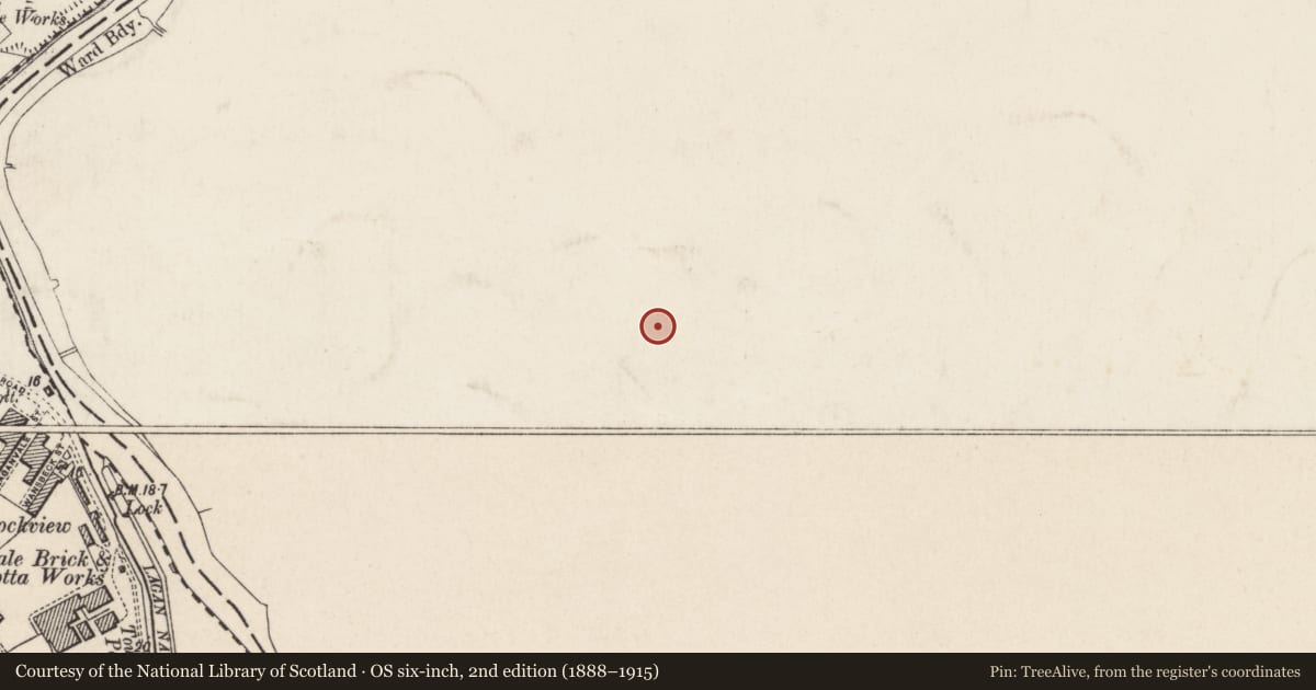Ordnance Survey six-inch map, 2nd edition (1888–1915) covering the location of 40 Florenceville Avenue, Belfast, with a pin at the register's coordinates