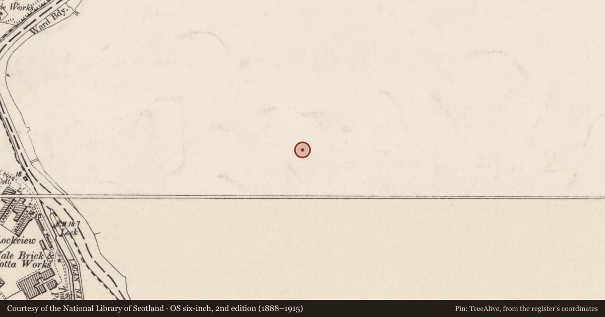 Ordnance Survey six-inch map, 2nd edition (1888–1915) covering the location of 42 Florenceville Avenue, Belfast, with a pin at the register's coordinates
