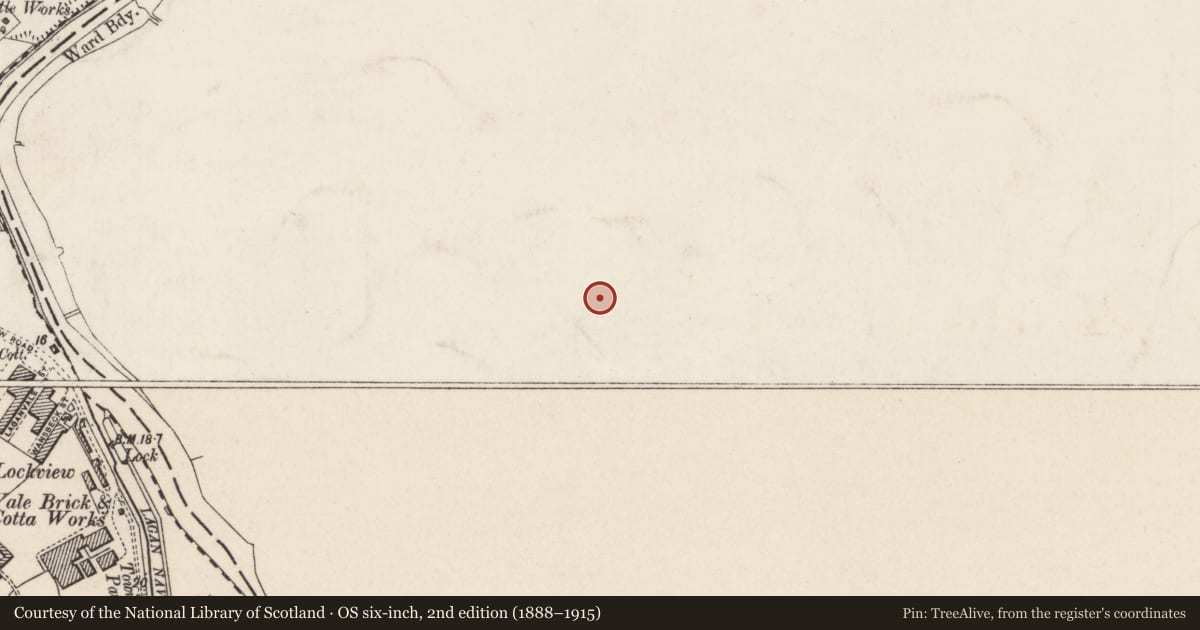 Ordnance Survey six-inch map, 2nd edition (1888–1915) covering the location of 44 Florenceville Avenue, Belfast, with a pin at the register's coordinates