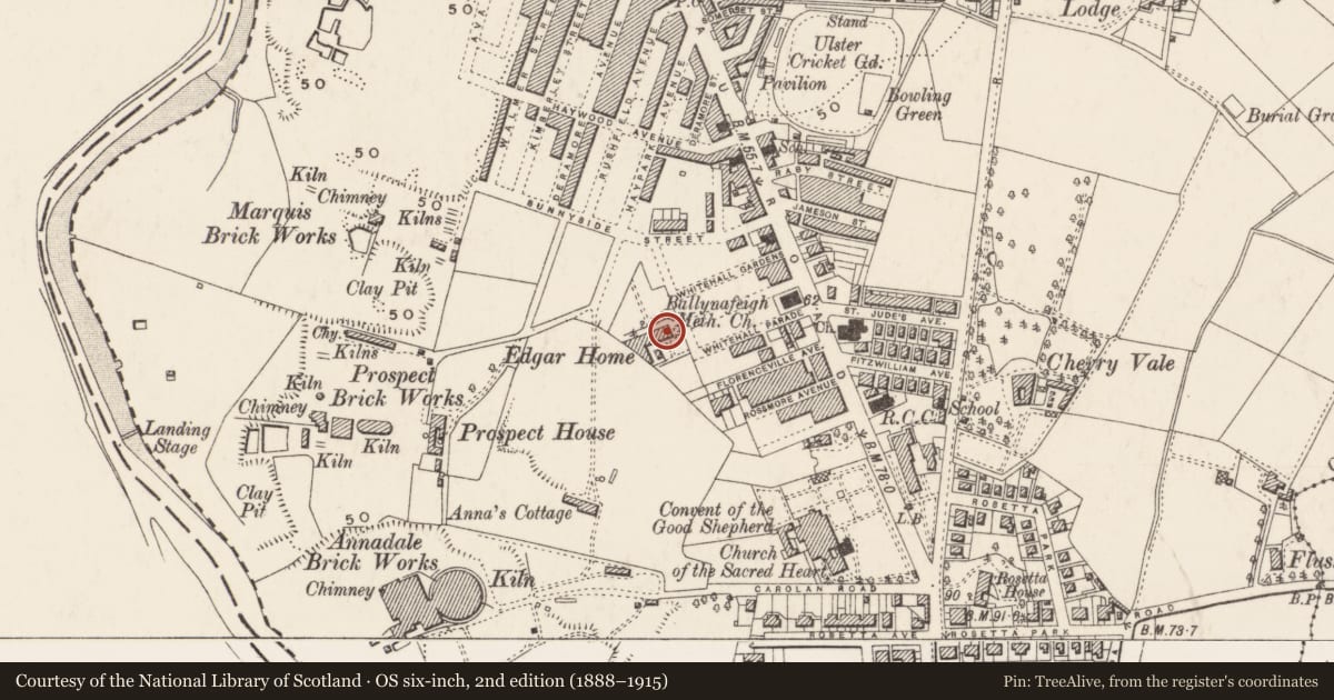 Ordnance Survey six-inch map, 2nd edition (1888–1915) covering the location of Haypark Hospital, Belfast, with a pin at the register's coordinates