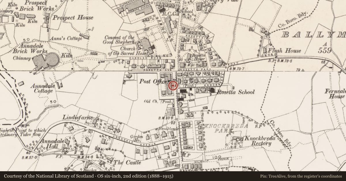 Ordnance Survey six-inch map, 2nd edition (1888–1915) covering the location of 551 Ormeau Road, Ballynafoy, Belfast, with a pin at the register's coordinates
