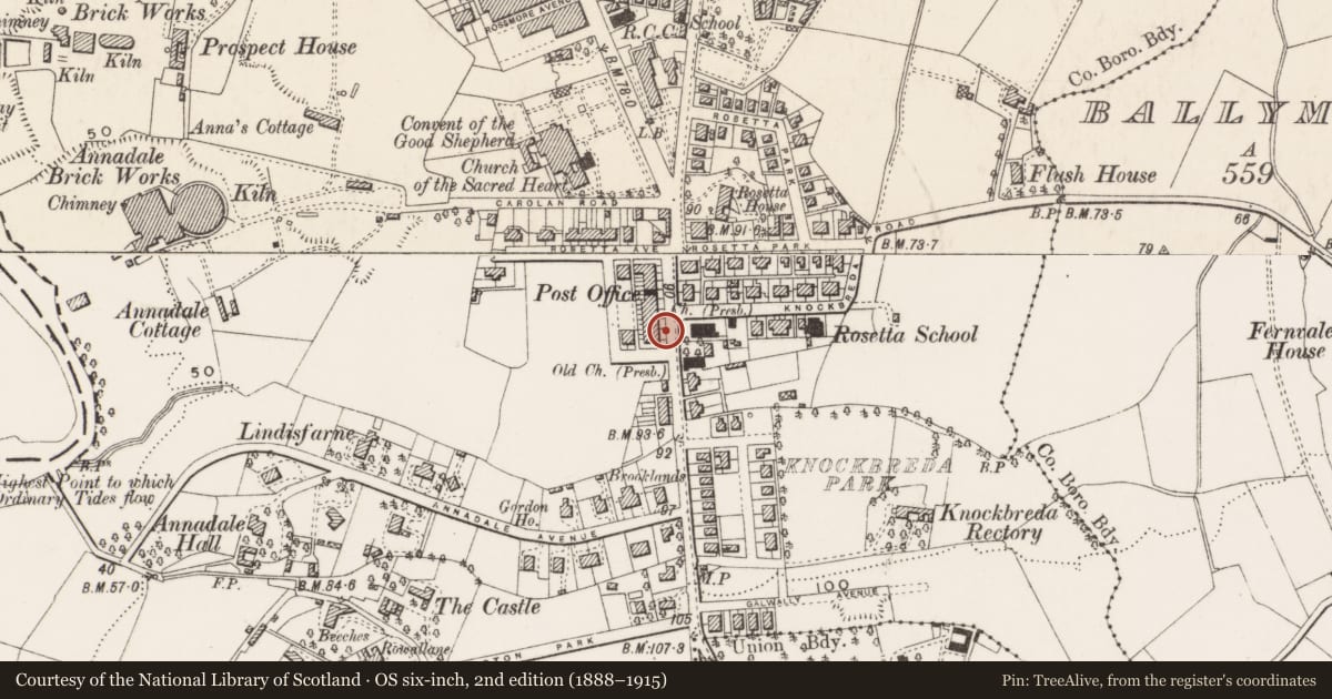 Ordnance Survey six-inch map, 2nd edition (1888–1915) covering the location of 559 Ormeau Road, Ballynafoy, Belfast, with a pin at the register's coordinates