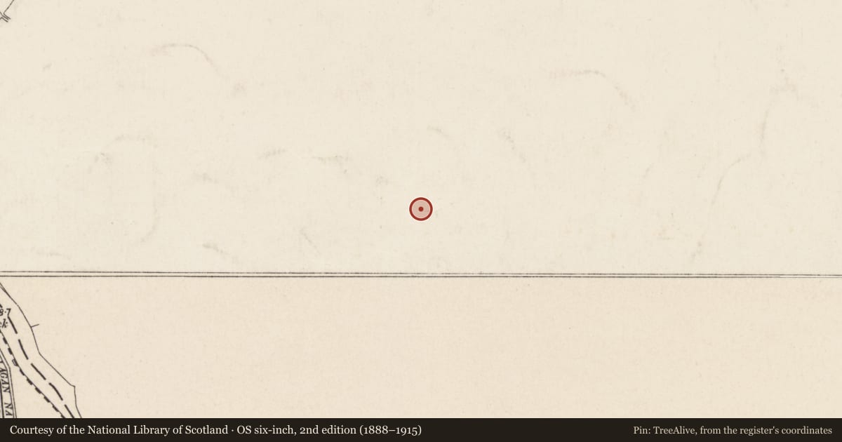 Ordnance Survey six-inch map, 2nd edition (1888–1915) covering the location of (Former) Our Lady Of The Holy Rosary Church, Belfast, with a pin at the register's coordinates