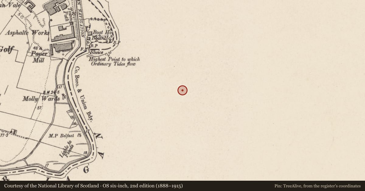 Ordnance Survey six-inch map, 2nd edition (1888–1915) covering the location of The Beeches, Belfast, with a pin at the register's coordinates
