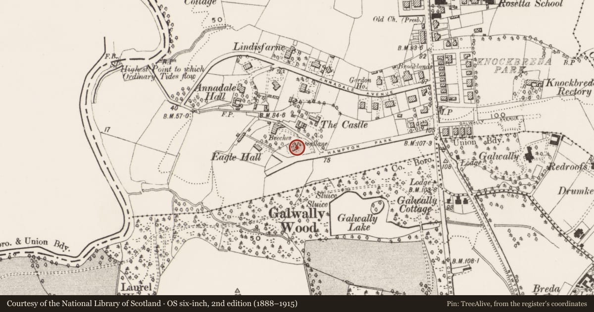 Ordnance Survey six-inch map, 2nd edition (1888–1915) covering the location of ROWALLANE, Belfast, with a pin at the register's coordinates