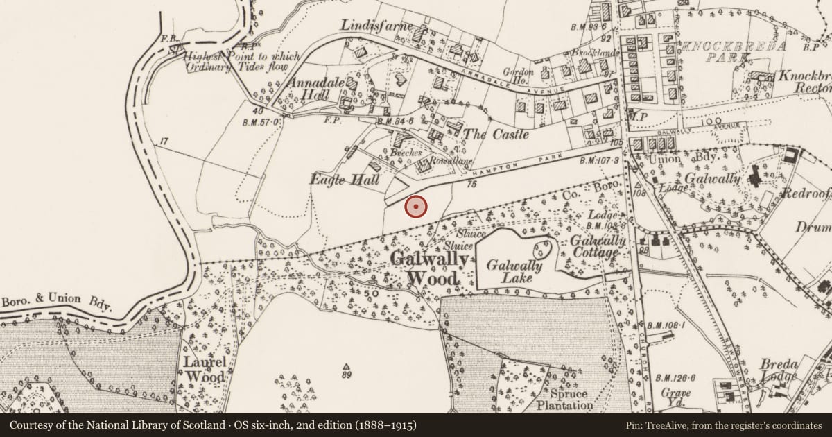 Ordnance Survey six-inch map, 2nd edition (1888–1915) covering the location of Tudor Lodge, Belfast, with a pin at the register's coordinates