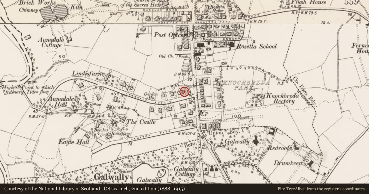 Ordnance Survey six-inch map, 2nd edition (1888–1915) covering the location of 5 Annadale Avenue, Belfast, with a pin at the register's coordinates