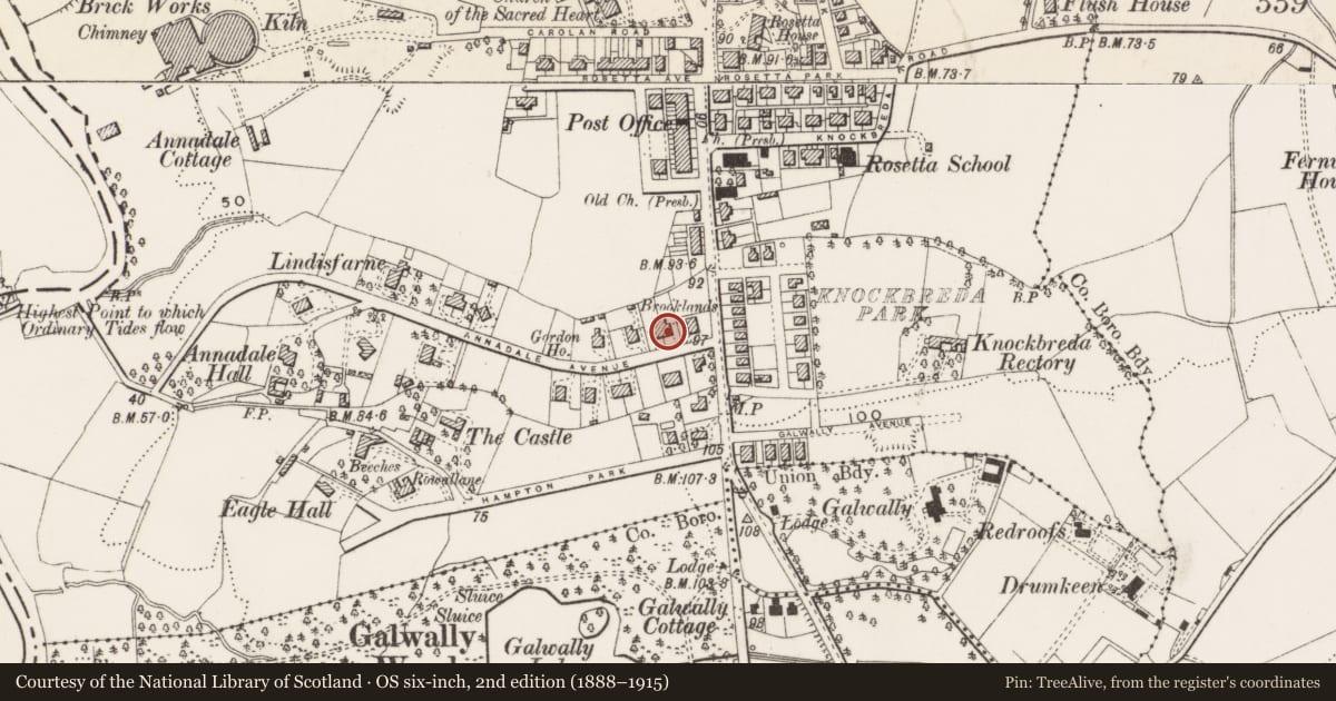 Ordnance Survey six-inch map, 2nd edition (1888–1915) covering the location of 7 Annadale Avenue, Belfast, with a pin at the register's coordinates