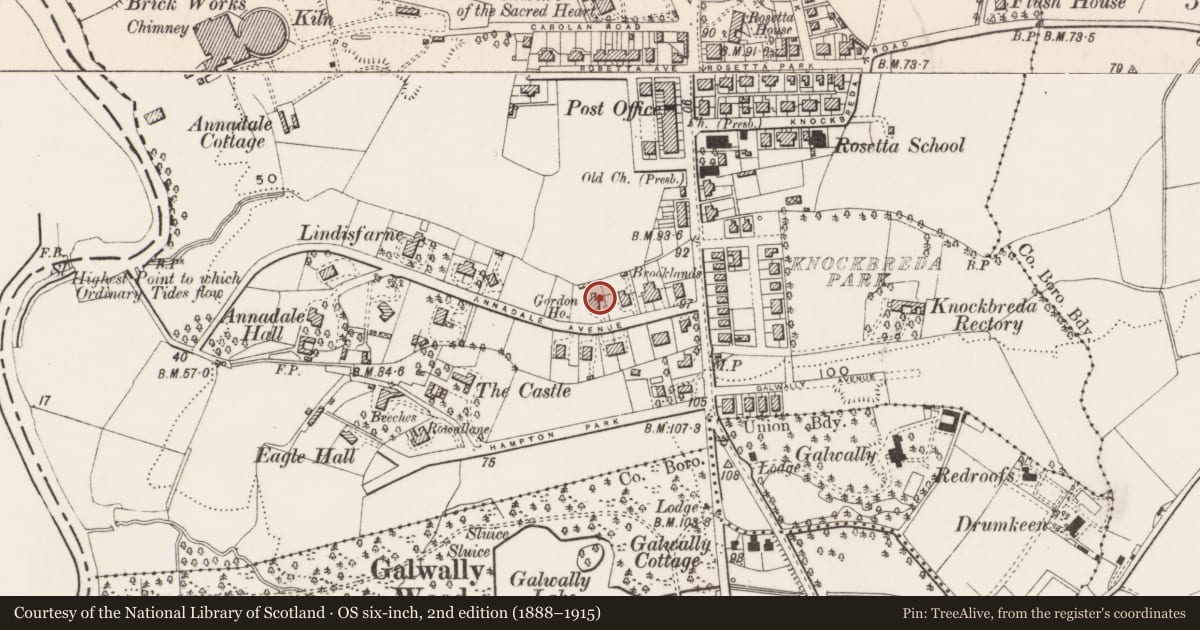 Ordnance Survey six-inch map, 2nd edition (1888–1915) covering the location of Gordon House, Belfast, with a pin at the register's coordinates
